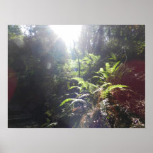 In the Forest of the Giants Posters