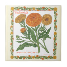In the Garden ~ Calendula Tile