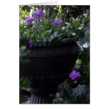 In the Garden Card