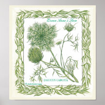 In the Garden ~ Queen Anne's Lace Poster