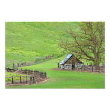 In The Knoll. Art Photo