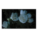 in the light of dawn business cards