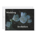 in the light of dawn, Wedding, Invitation