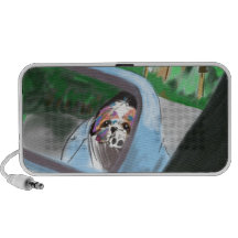 In the mirror of car travel speaker