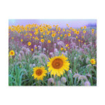 In the morning post cards