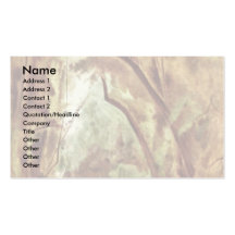In The Park Of Villa Borghese By Blechen Carl Business Card Template