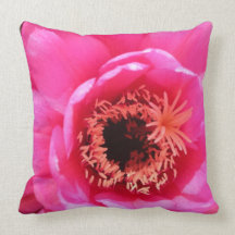 In the Pink Pillow