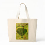 In the Shadow of the Balloon Canvas Bags