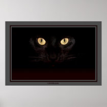 In the Shadows Posters