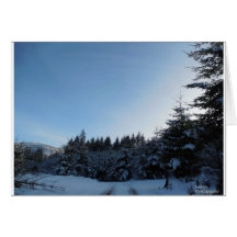 In the snow. cards