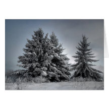 In The Spirit OF winter Greeting Card