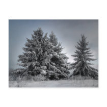In The Spirit OF winter Postcard