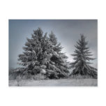In The Spirit OF winter postcards