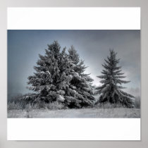 In The Spirit OF winter Posters