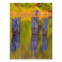 In The Waterway. Photo Art