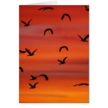 In Transit Greeting Cards