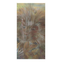 In Your Face Porcupine Photo Card