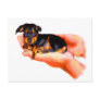 In Your Hands (Puppy) Postcard
