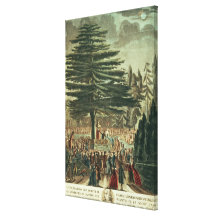 Inauguration of the bust of Carl Linnaeus Canvas Prints