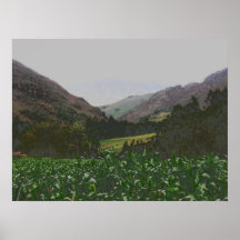 inca landscape print