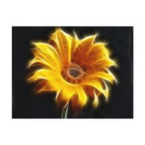 Incandescent Sunflower