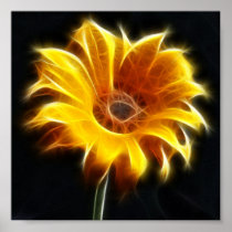 Incandescent Sunflower