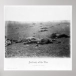 Incidents of the War by Timothy H. O'Sullivan Posters
