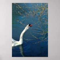 Incoming Spring - poster