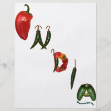 India Chili Peppers Full Color Flyer