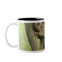 Indian / Asian Elephant and young one,Corbett 2 Mug