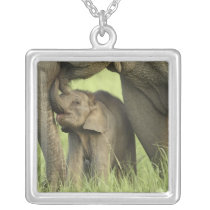 Indian / Asian Elephant and young one,Corbett 2 Pendants