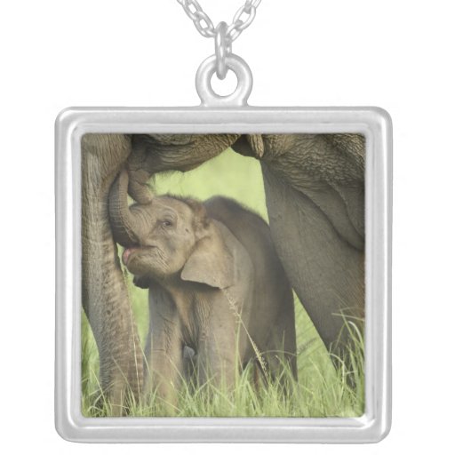 Indian / Asian Elephant and young one,Corbett 2 Pendants