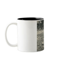 indian bended knee with bow mugs