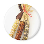 Indian Colourised Corn On White Background Fridge Magnets