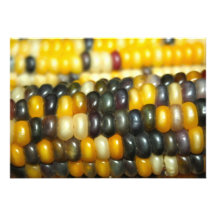 Indian Corn on the Cob Invitation