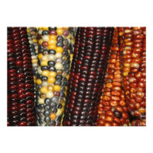 Indian Corn Variety Invitation