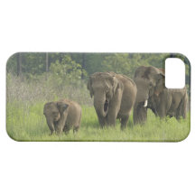 Indian Elephant family coming out of iPhone 5 Cases