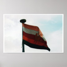 Indian Flag Posters