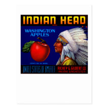 Indian Head Washington Apples Postcards