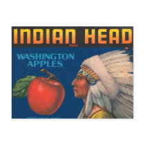 Indian Head Washington Apples Vintage Ad Post Cards