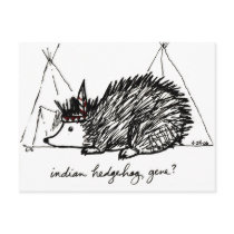 Indian Hedgehog Gene postcard