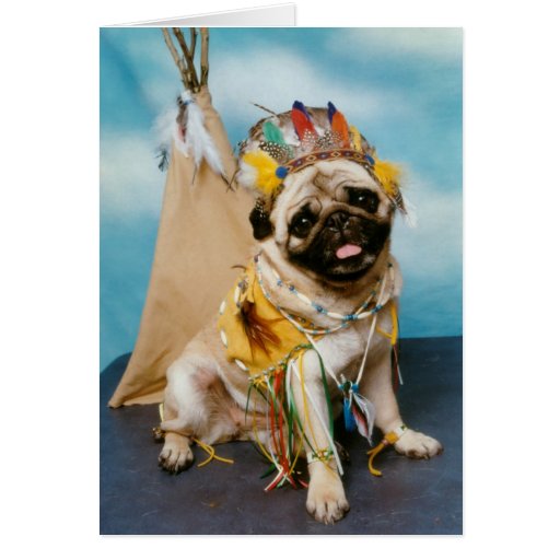 Indian Native American Pug Dog Card