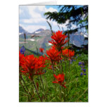 Indian Paint Brush Card