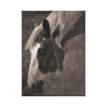 Indian Paint Stretched Canvas Print