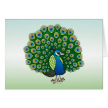 Indian Peafowl Cards