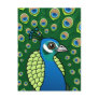 Indian Peafowl