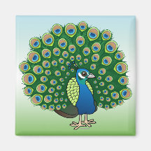 Indian Peafowl Refrigerator Magnet