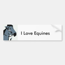 indian pony 2, I Love Equines Bumper Sticker