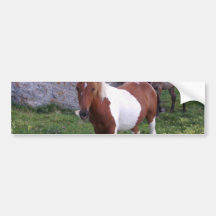 Indian Pony Bumper Sticker