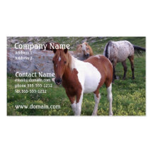 Indian Pony Business Card